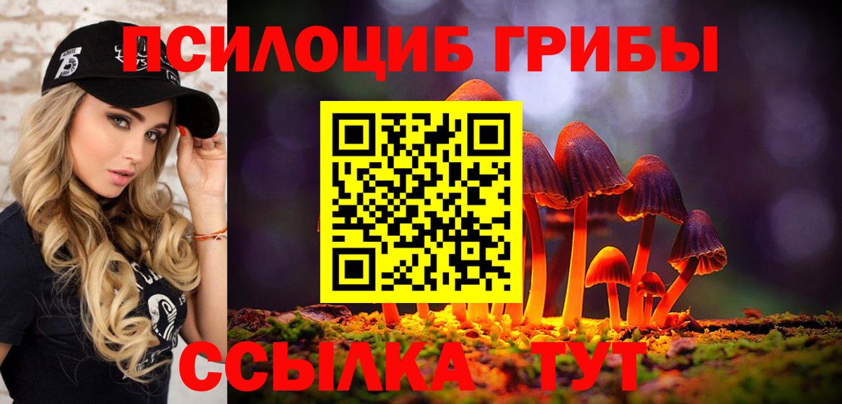 Галлюциногенные грибы Cubensis Соль-Илецк